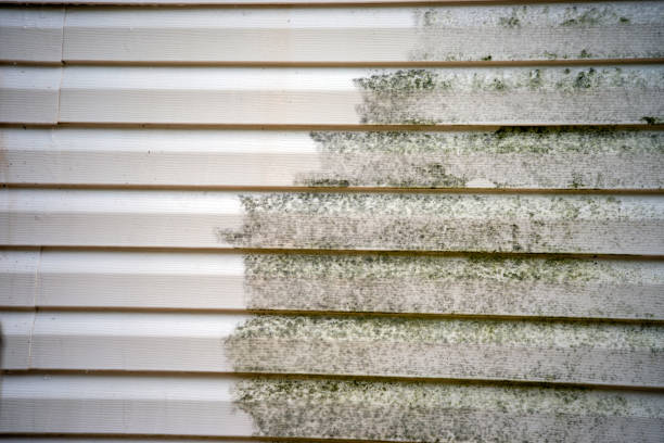 Best Furniture Removal  in Ellisville, MS