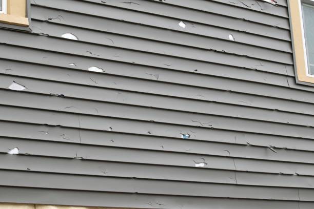 Best Demolition Debris Removal  in Ellisville, MS