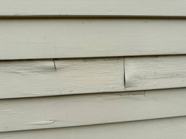 Best Property Management Cleanouts  in Ellisville, MS